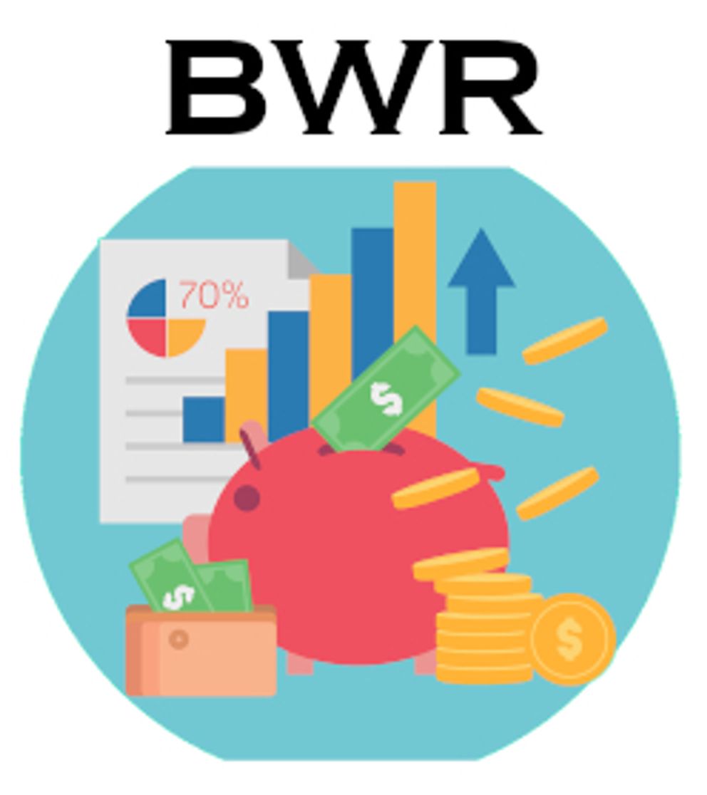 Logo der Fachschaft BWR