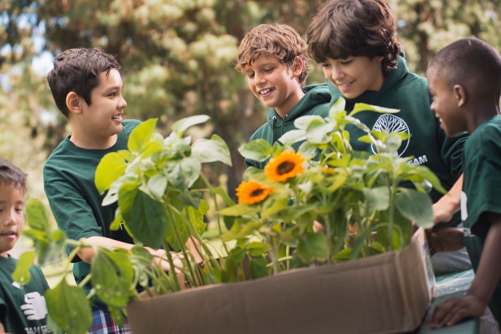 Schüler pflanzen Blumen im Schulgarten